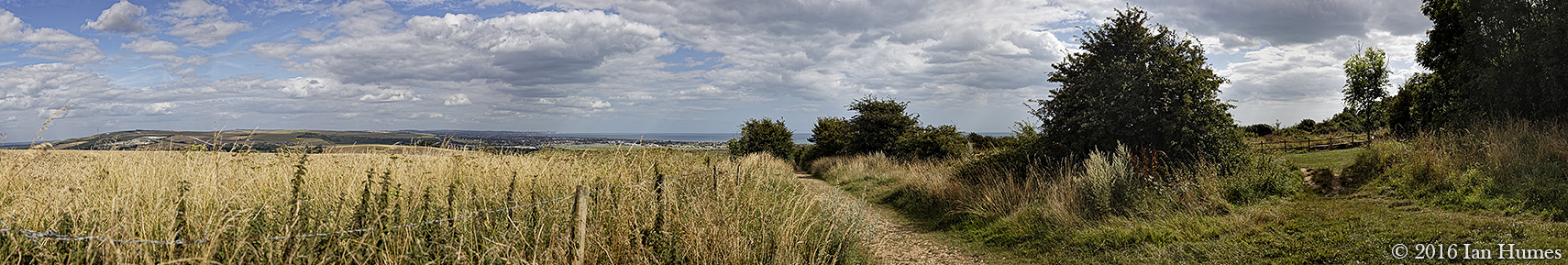 Lancing Ring Nature Reserve - West Sussex